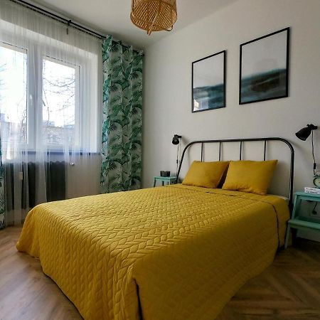 Przytulny Apartament Przy Sokolskiej - 550 Metrow Od Spodka カトヴィツェ エクステリア 写真