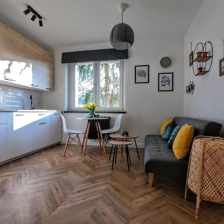 Przytulny Apartament Przy Sokolskiej - 550 Metrow Od Spodka カトヴィツェ エクステリア 写真