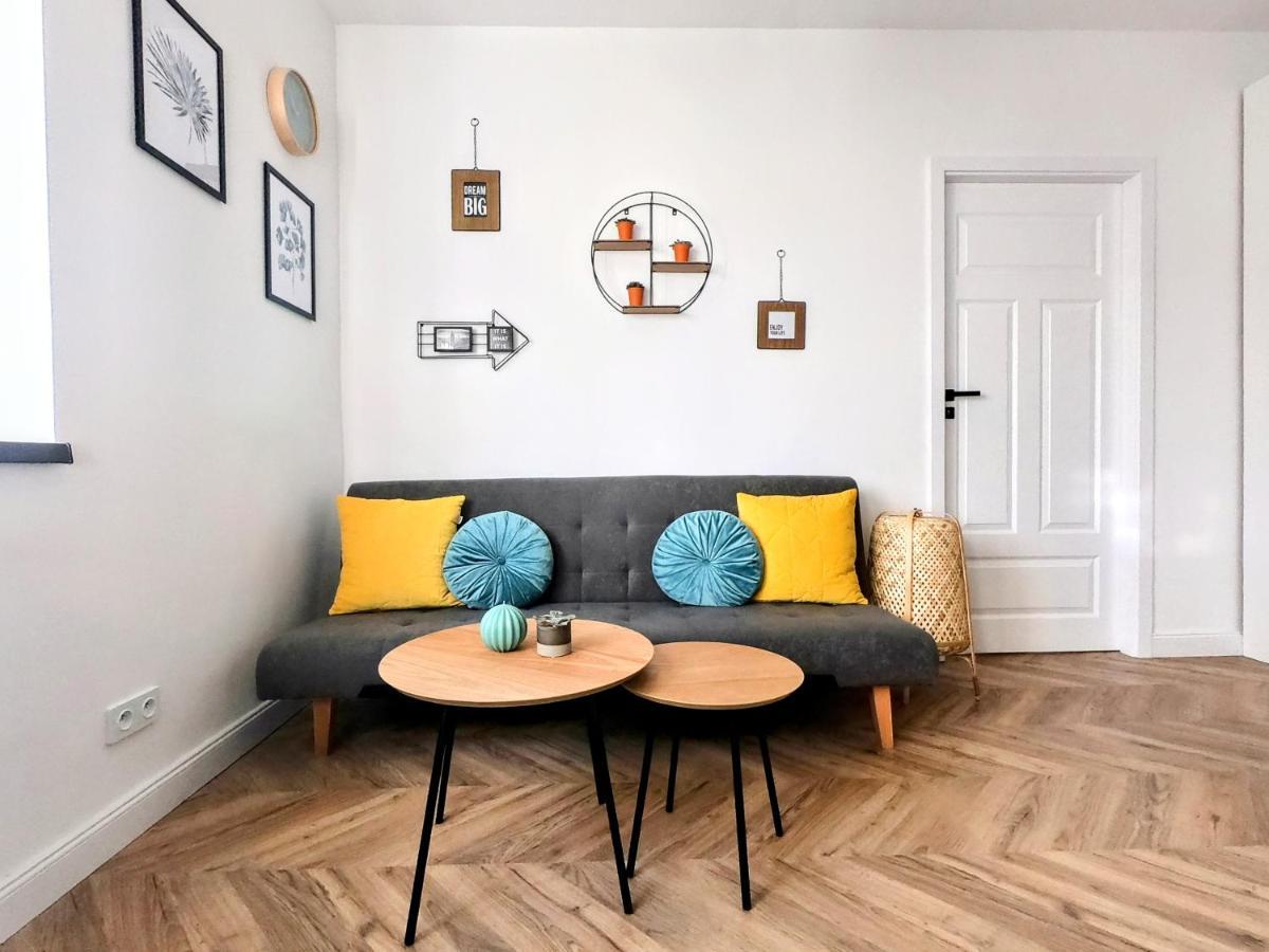 Przytulny Apartament Przy Sokolskiej - 550 Metrow Od Spodka カトヴィツェ エクステリア 写真