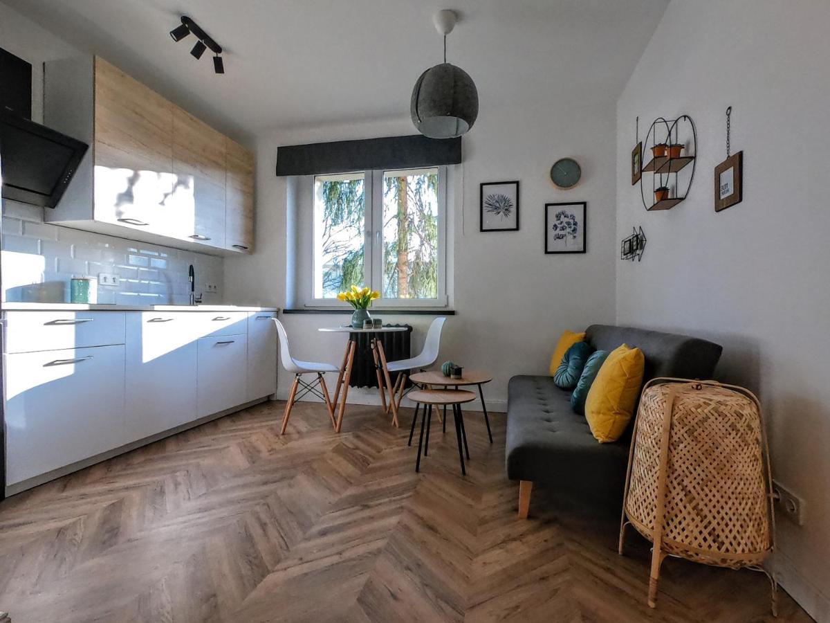 Przytulny Apartament Przy Sokolskiej - 550 Metrow Od Spodka カトヴィツェ エクステリア 写真
