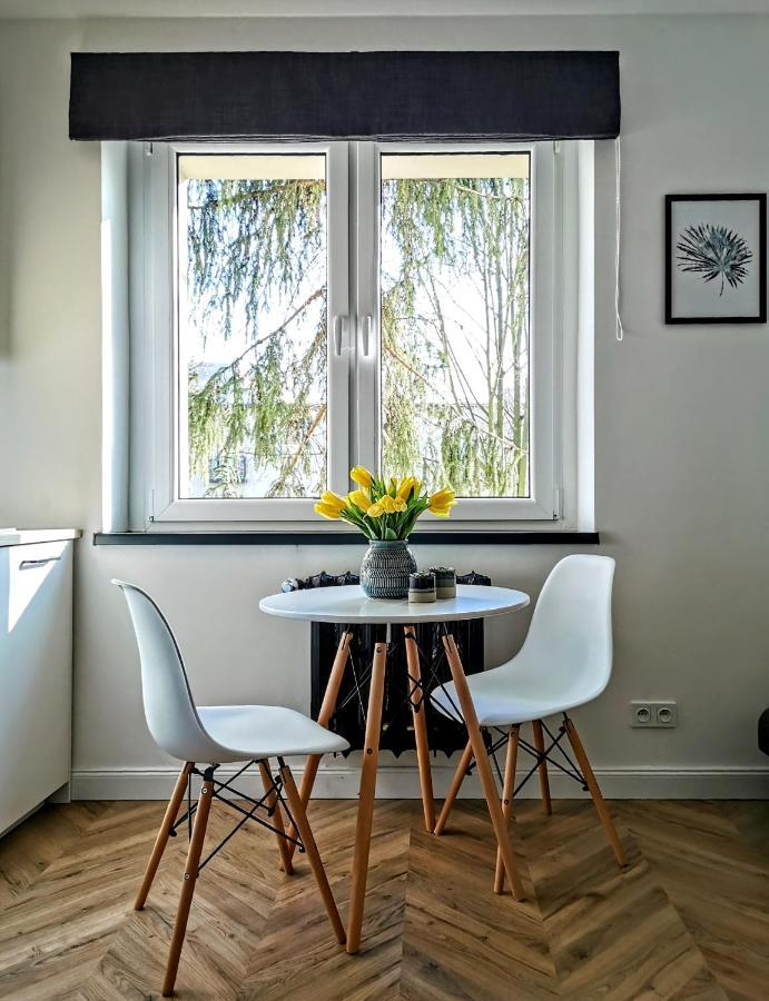 Przytulny Apartament Przy Sokolskiej - 550 Metrow Od Spodka カトヴィツェ エクステリア 写真